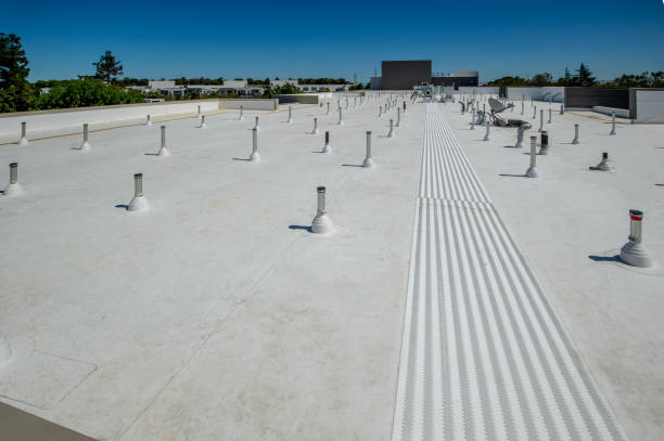 Best Asphalt Shingles Roofing  in Wilkshire Hills, OH